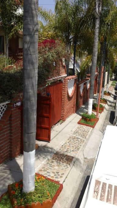 Amazingly Romantic Vacation For Your Honeymoon Tijuana Exterior photo