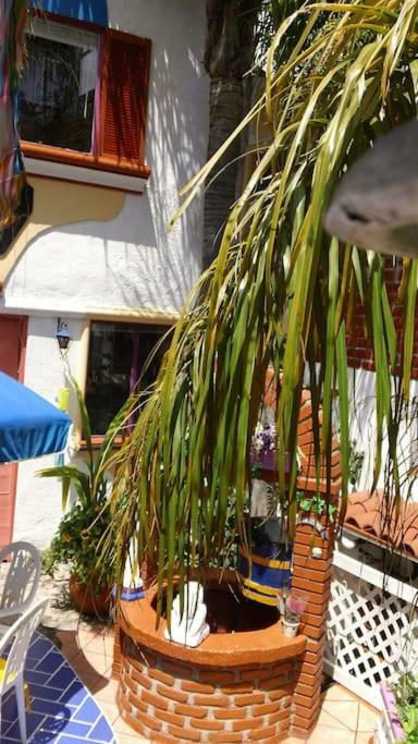 Amazingly Romantic Vacation For Your Honeymoon Tijuana Exterior photo